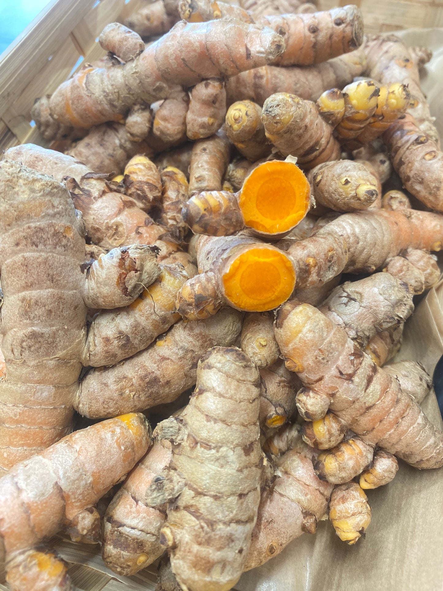 Curcuma Frais