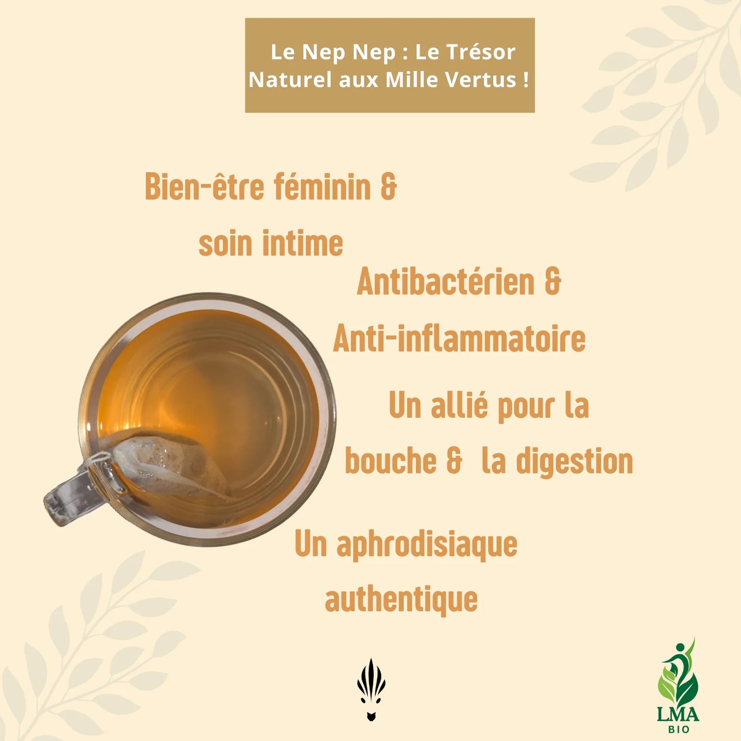 Infusion Nep Nep
