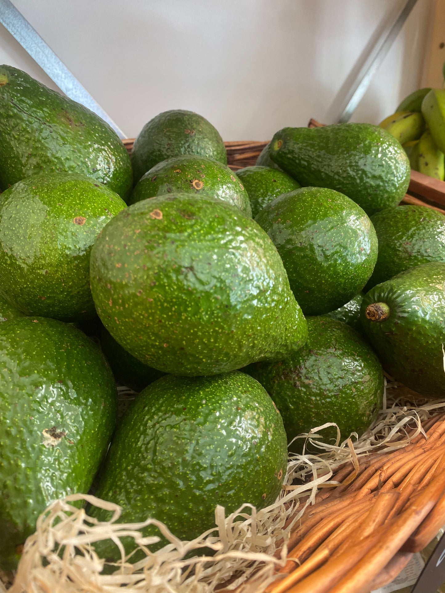 Avocat Martinique (3)